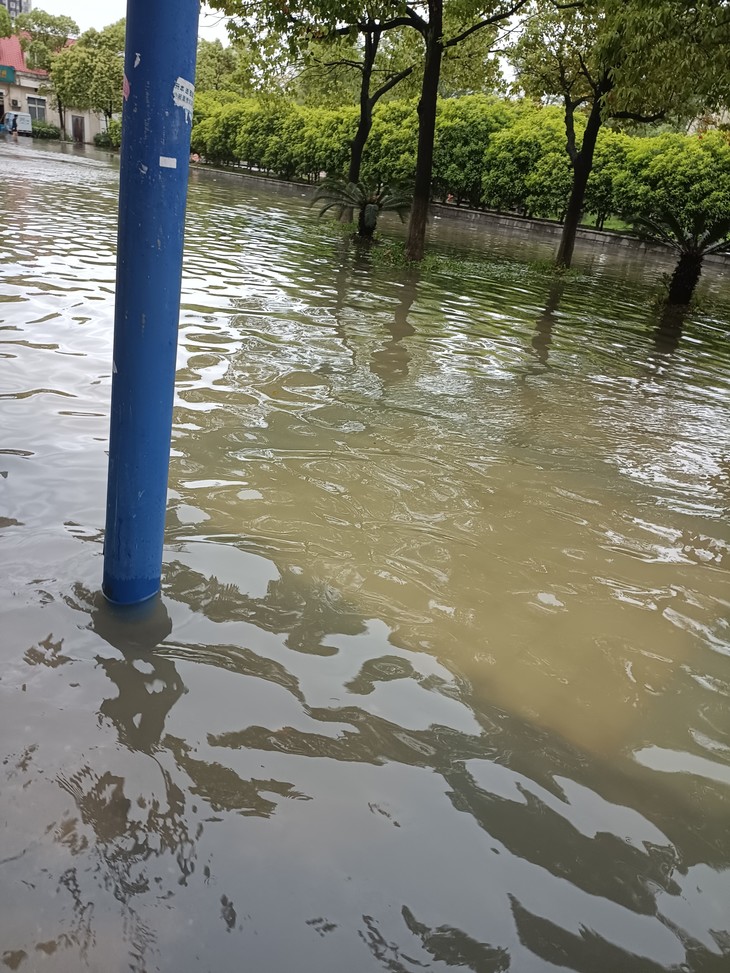 这雨从昨晚下到现在没停，学校已经被淹了