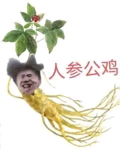 因为你太美案件