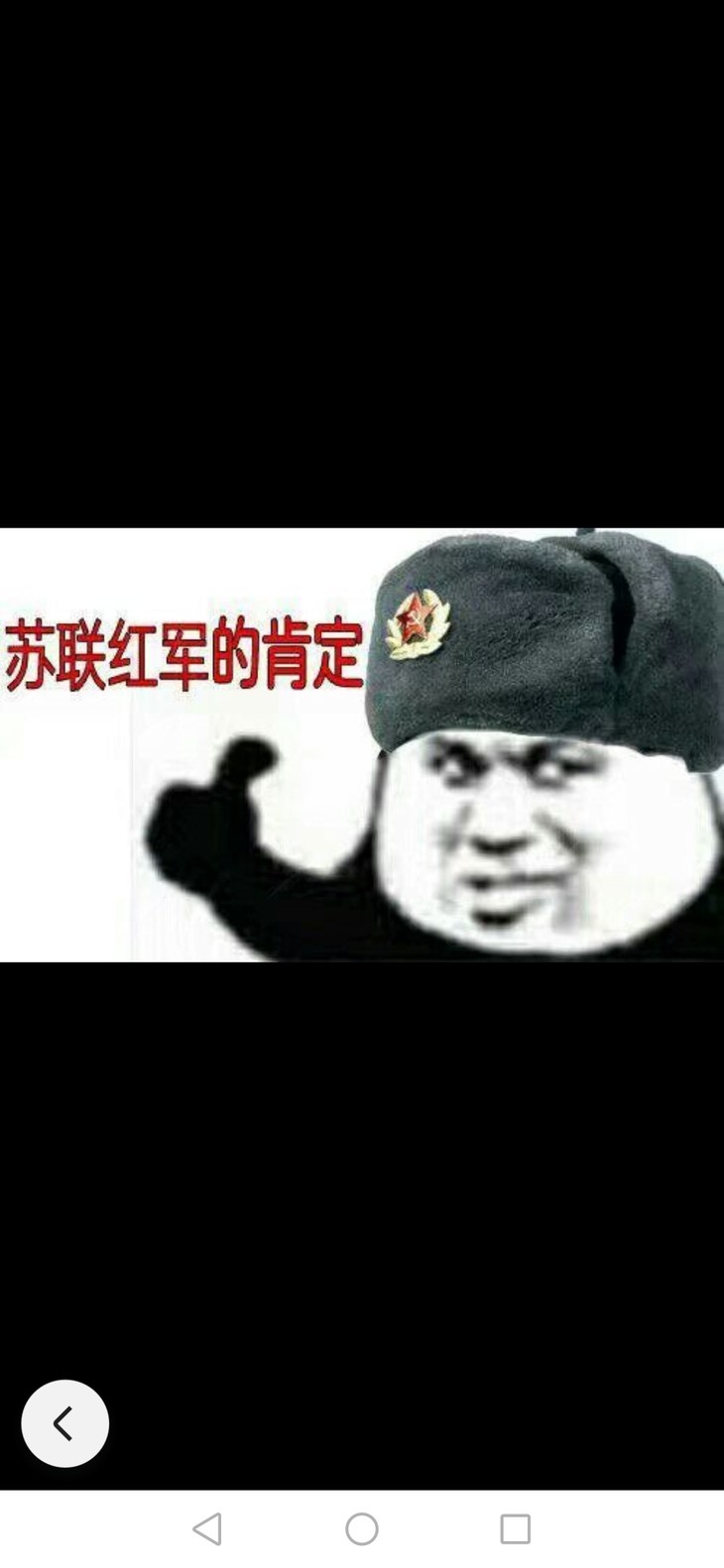 今日份乐子