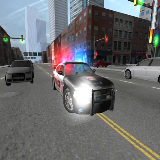 Duty Driver Police LITE