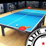 Pro Arena Table Tennis LITE