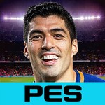 PES COLLECTION